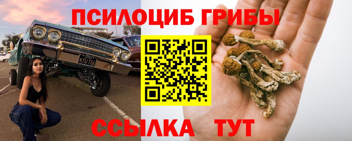 Лабинск  Галлюциногенные грибы прущие грибы  Псилоцибиновые грибы прущие грибы  Вход с VPN 